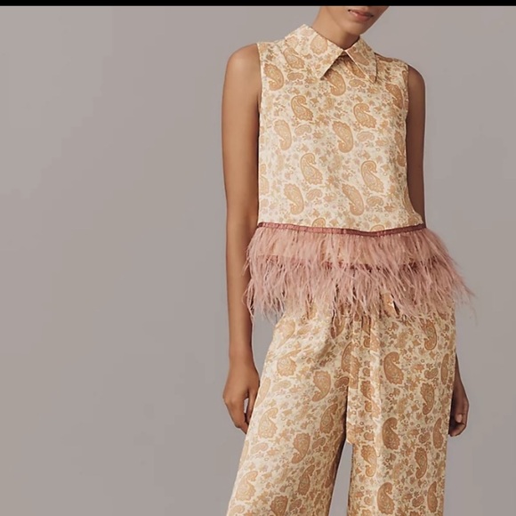 Anthropology Maude Club Emery Swing Top. Feathered Trim. - Picture 3 of 6